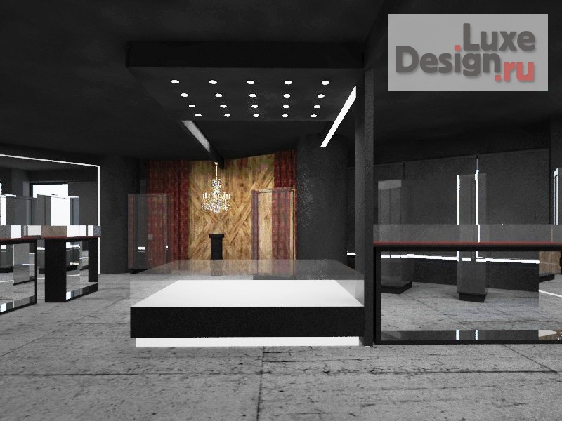 Дизайн интерьера выставки "Проект частного музея" (фото 3)