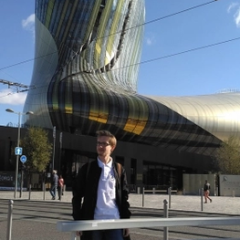 Дизайнер интерьера Ларионов Артур